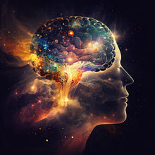 Load image into Gallery viewer, Quantum Fire Wellness Program