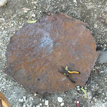Load image into Gallery viewer, Cardinal on Branch, Painted Haitian Steel Drum Wall Art
